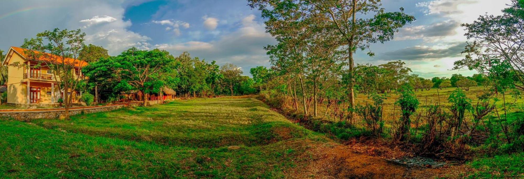 Sigiri Lanka Resort Sigiriya Exterior photo